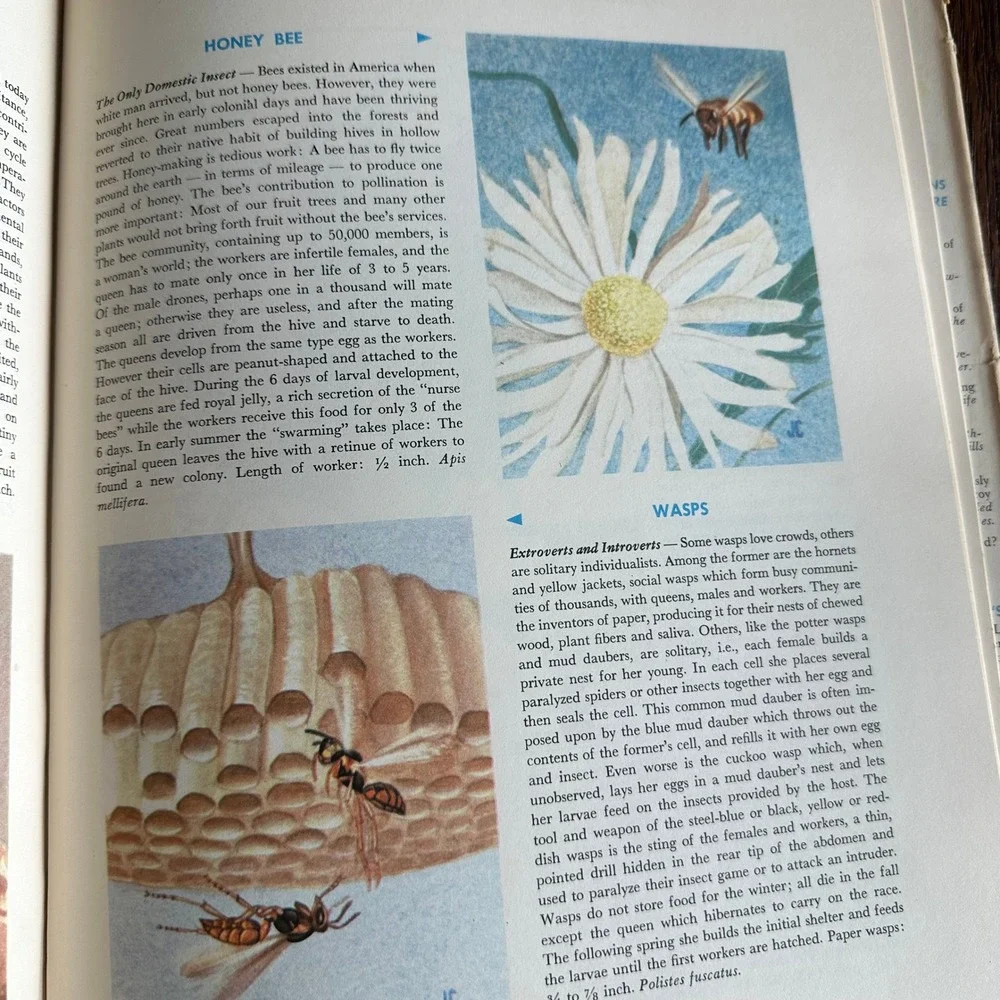 Hammond nature atlas